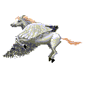 Pegasus was captured by Bellerophon who caught and tamed Pegasus. They destroyed the Chimera, a creature who was part lion, part goat and part snake